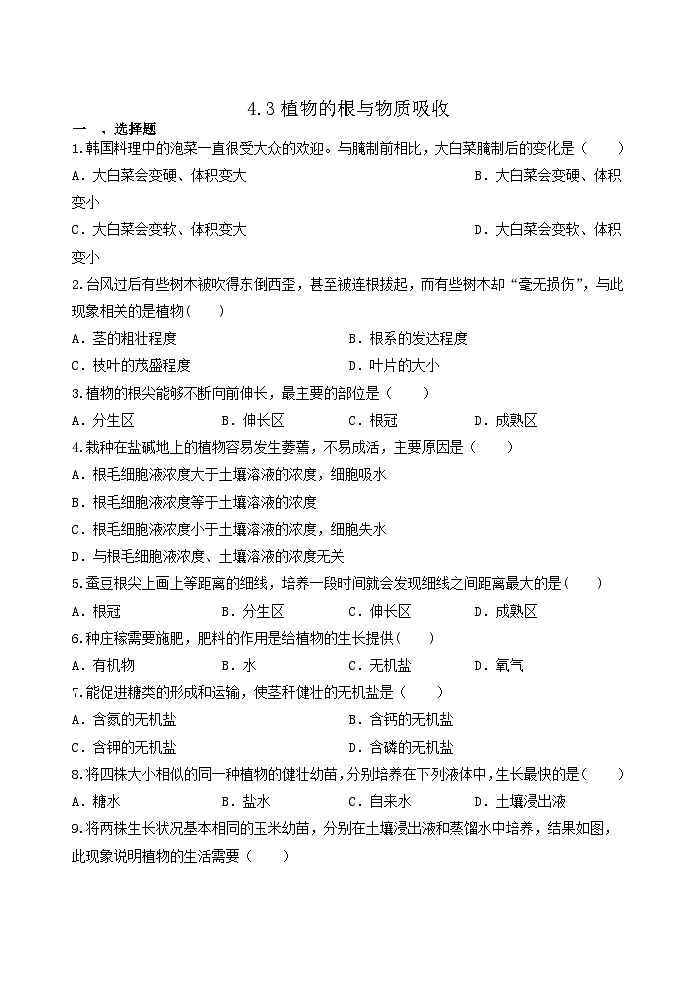 4.3植物的根与物质吸收 同步练习 浙教版八年级下册科学第1页
