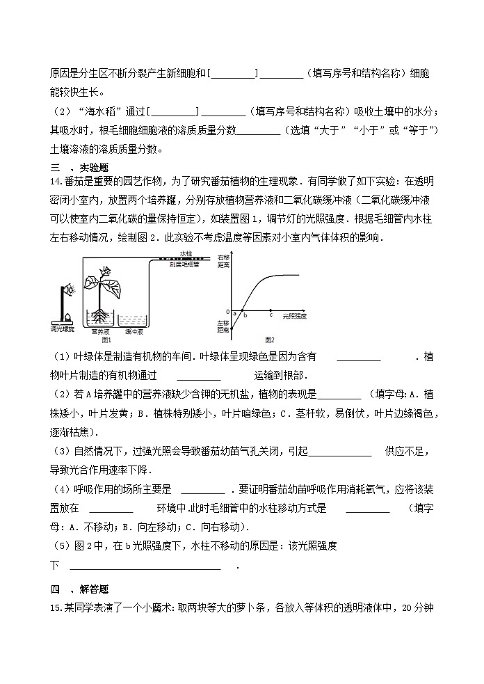 4.3植物的根与物质吸收 同步练习 浙教版八年级下册科学第3页