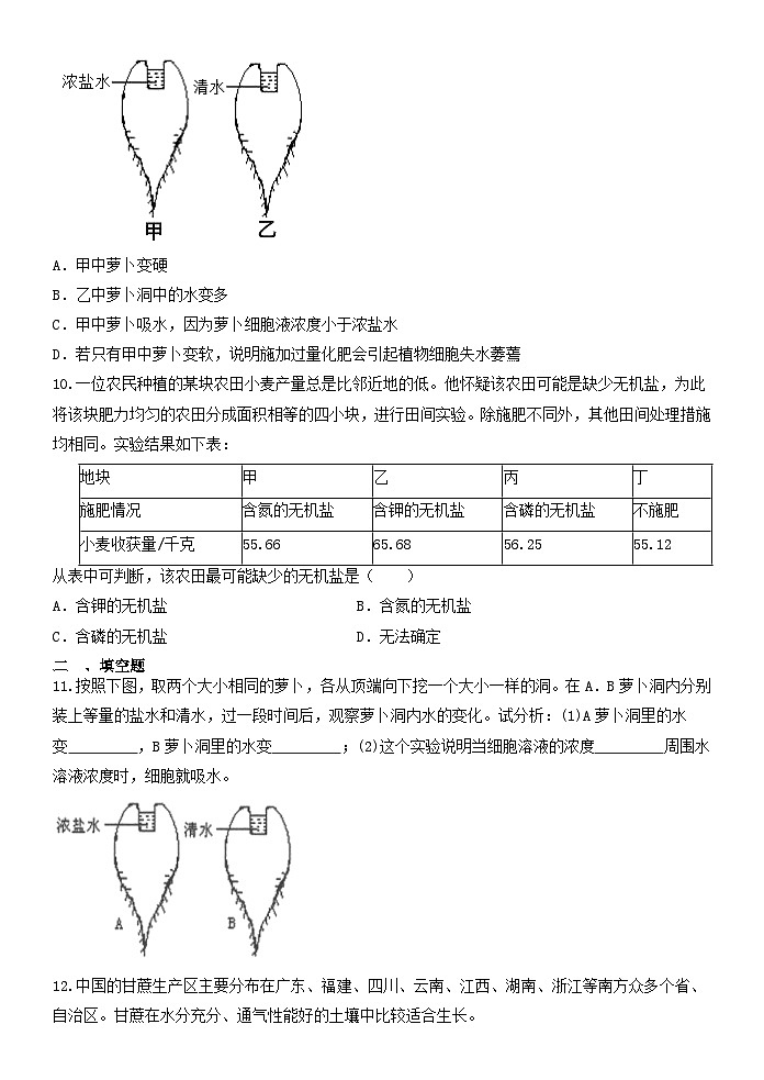 4.3植物的根与物质吸收练习   浙教版八年级下册科学02