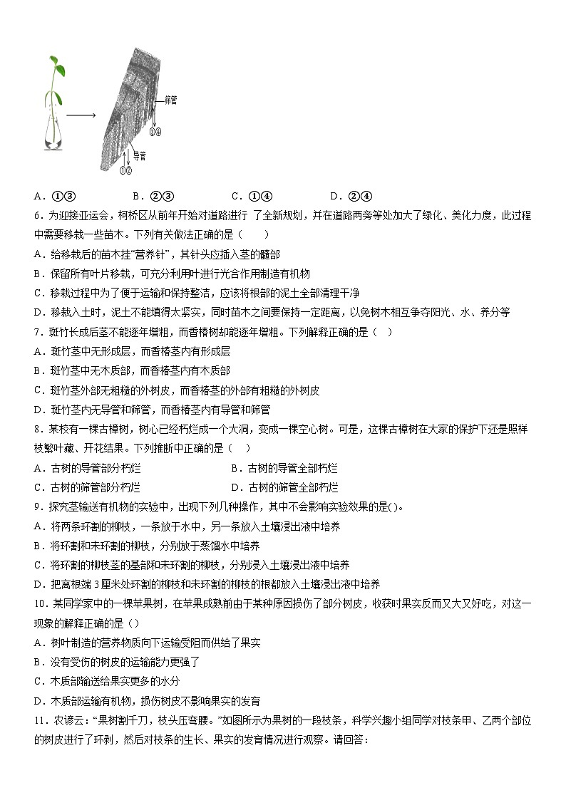 4.4 植物的茎与物质运输练习—浙教版科学八年级下册第2页