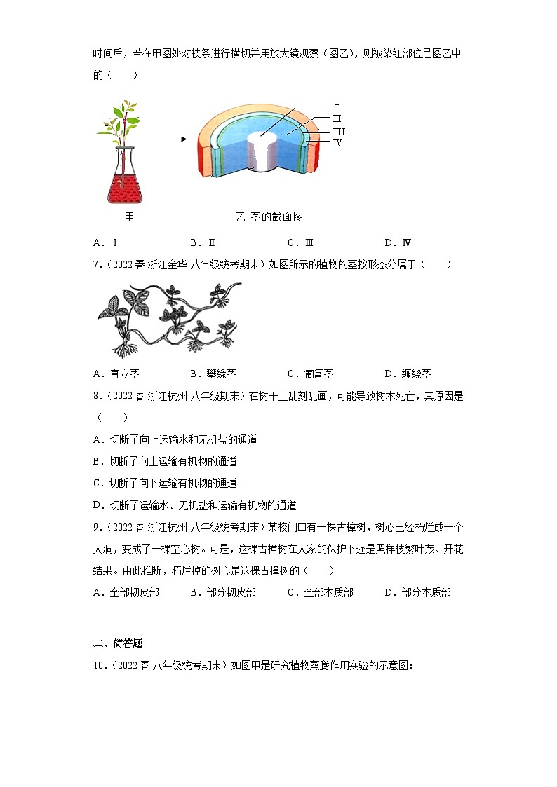 4.4植物的茎与物质运输 练习【期末复习】   浙教版科学八年级下册03