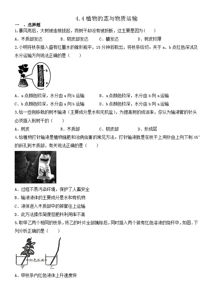 4.4植物的茎与物质运输 同步练习   浙教版八年级下册科学第1页