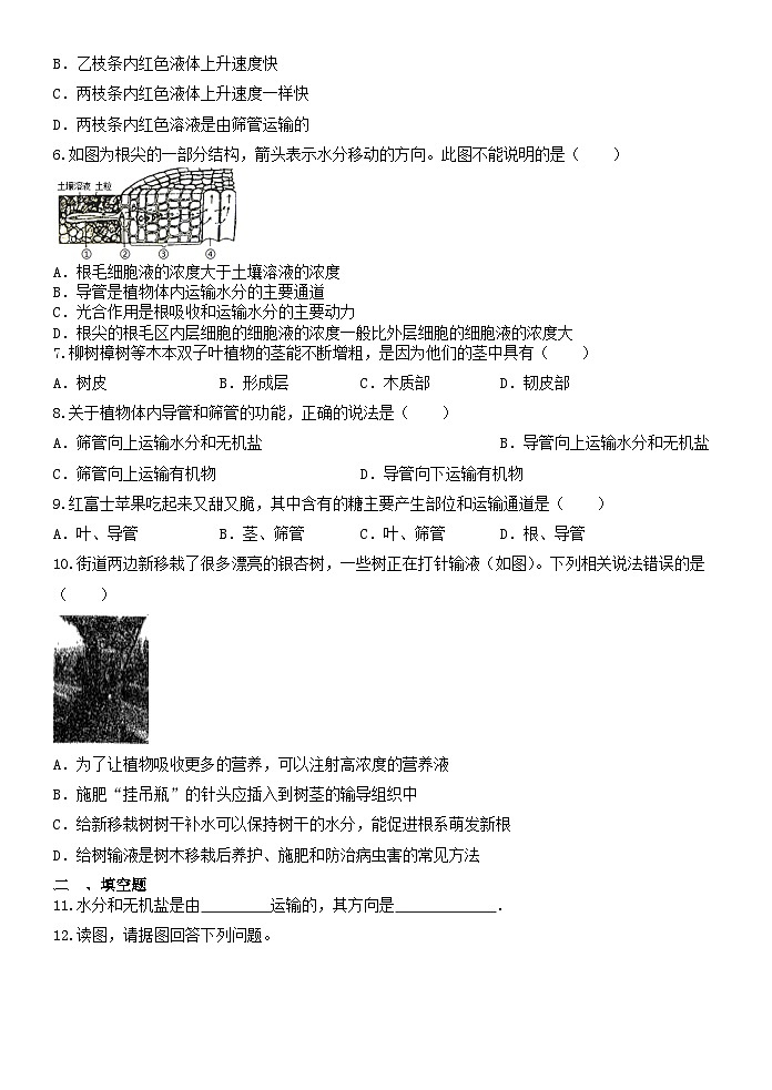 4.4植物的茎与物质运输 同步练习   浙教版八年级下册科学第2页