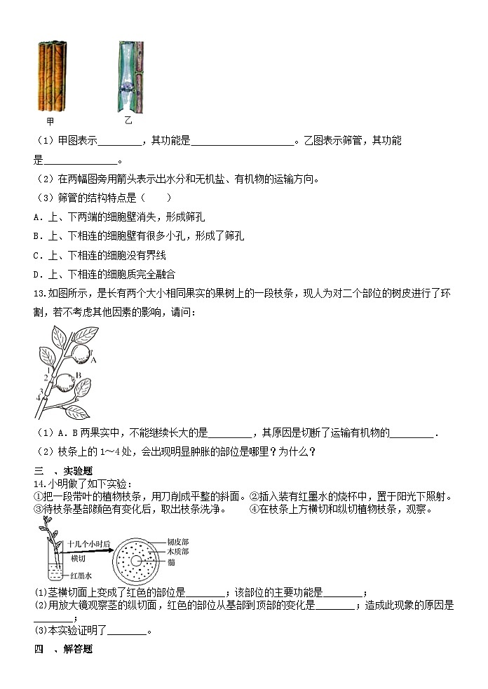 4.4植物的茎与物质运输 同步练习   浙教版八年级下册科学第3页