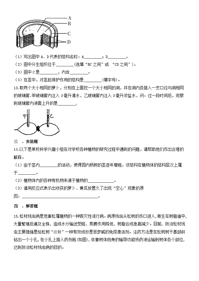 4.4植物的茎与物质运输 同步练习  浙教版八年级下册科学03