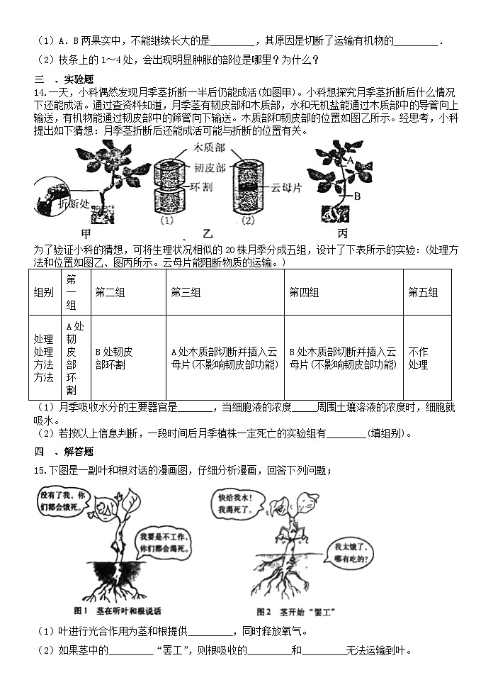 4.4植物的茎与物质运输 同步练习 浙教版 八年级下册科学第3页