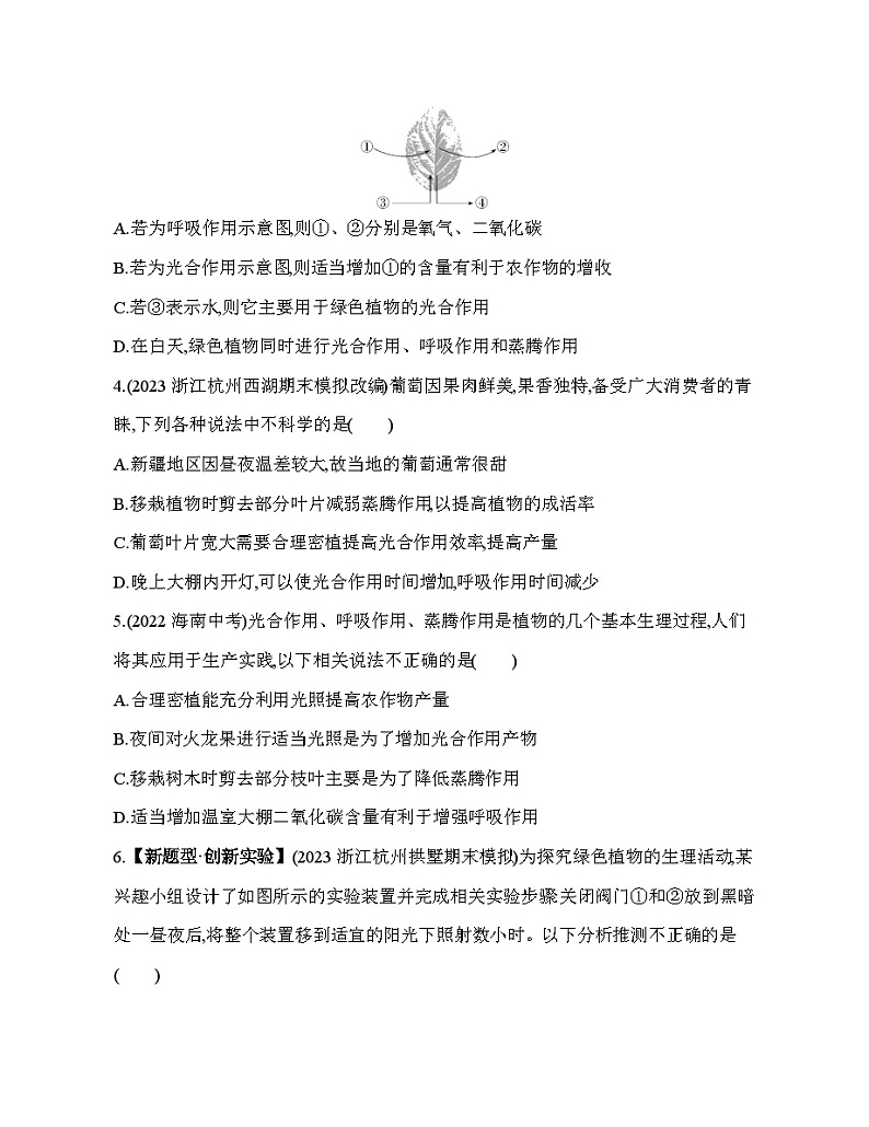 期末复习专项素养综合全练  植物的三大作用试题   浙教版八年级下册科学第2页