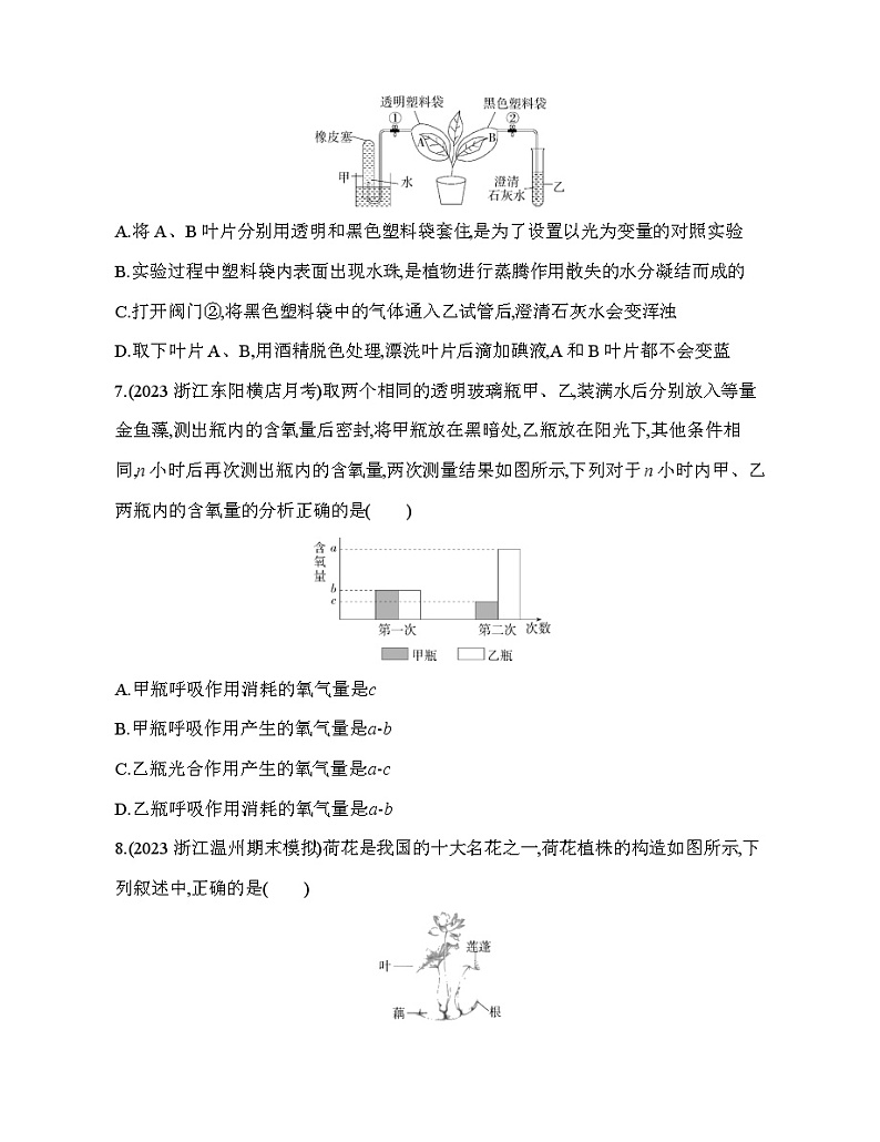 期末复习专项素养综合全练  植物的三大作用试题   浙教版八年级下册科学第3页
