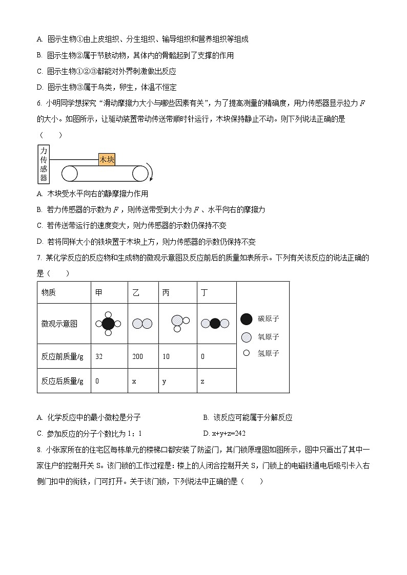 浙江省宁波市余姚市实验学校2024年九年级中考一模科学试题（原卷版+解析版）03