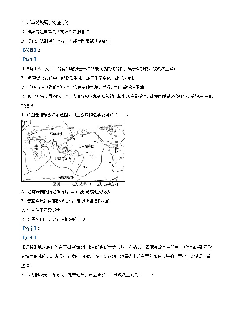 浙江省宁波市余姚市实验学校2024年九年级中考一模科学试题（原卷版+解析版）03