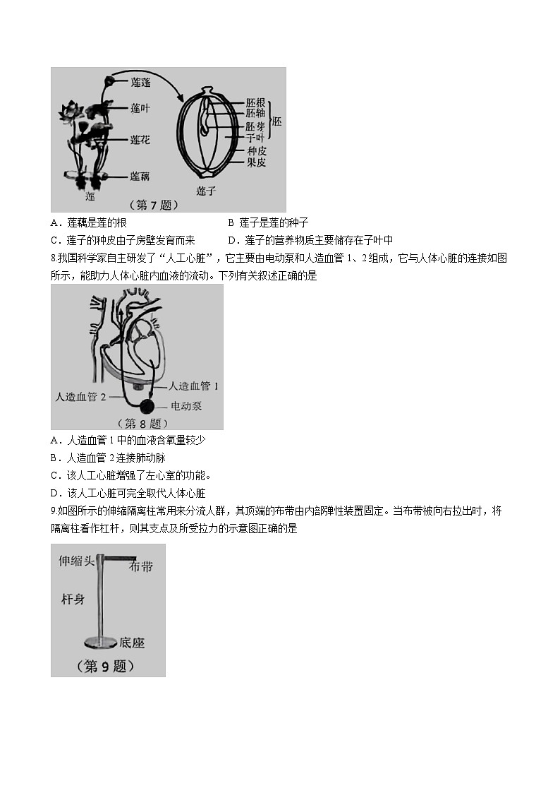 2024年浙江省台州市椒江区中考一模科学试题(无答案)03