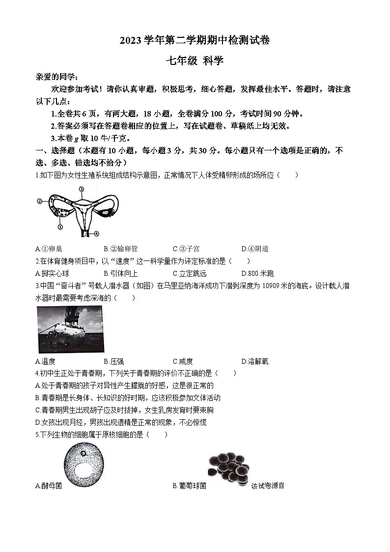 浙江省杭州安阳实验中学2023-2024学年下学期期中考试七年级科学卷(无答案)01