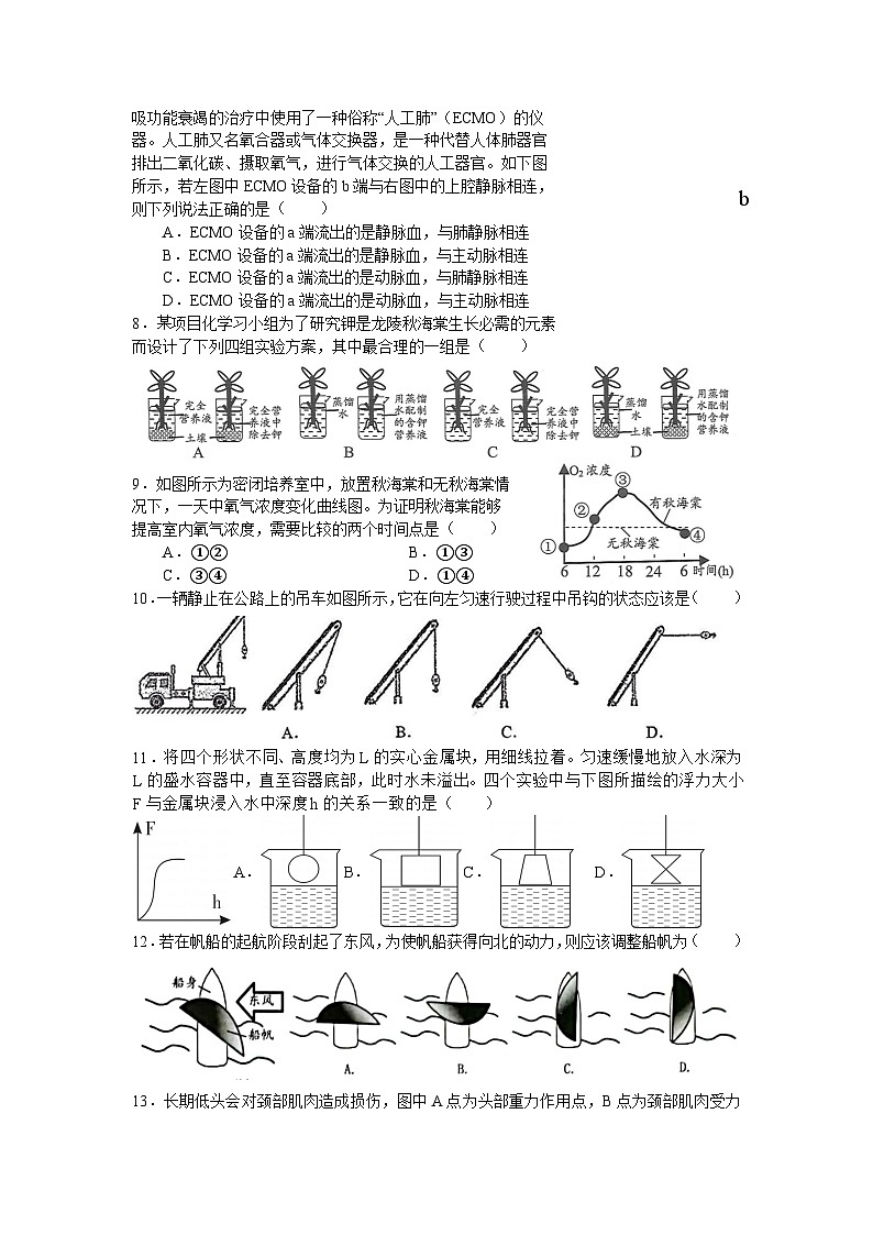 浙江省宁波市余姚市2023-2024学年九年级下学期六校联考科学试题02