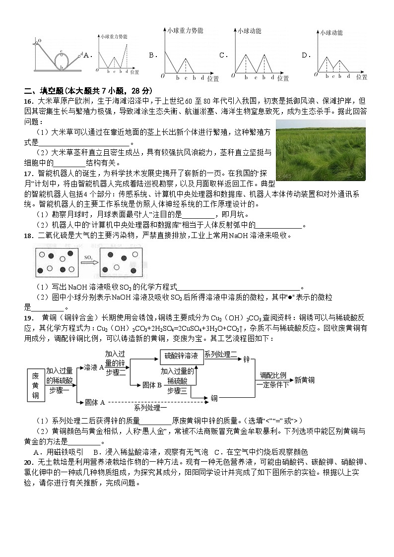 2024年浙江省科学中考模拟卷1第3页