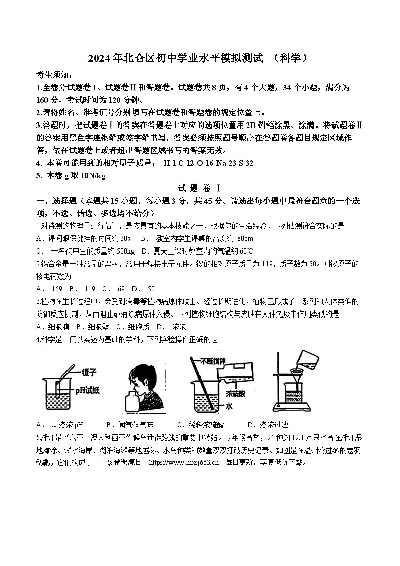 2024年浙江省宁波市北仑区中考一模科学试题第1页
