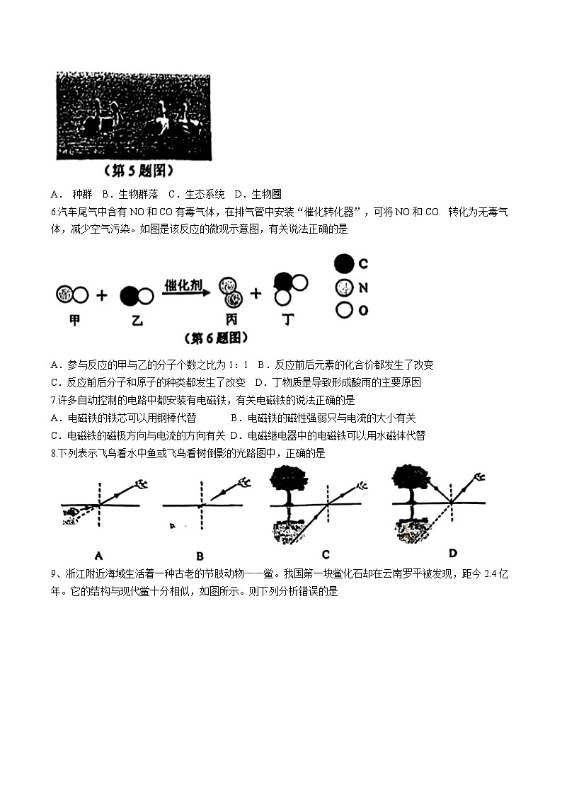 2024年浙江省宁波市北仑区中考一模科学试题第2页