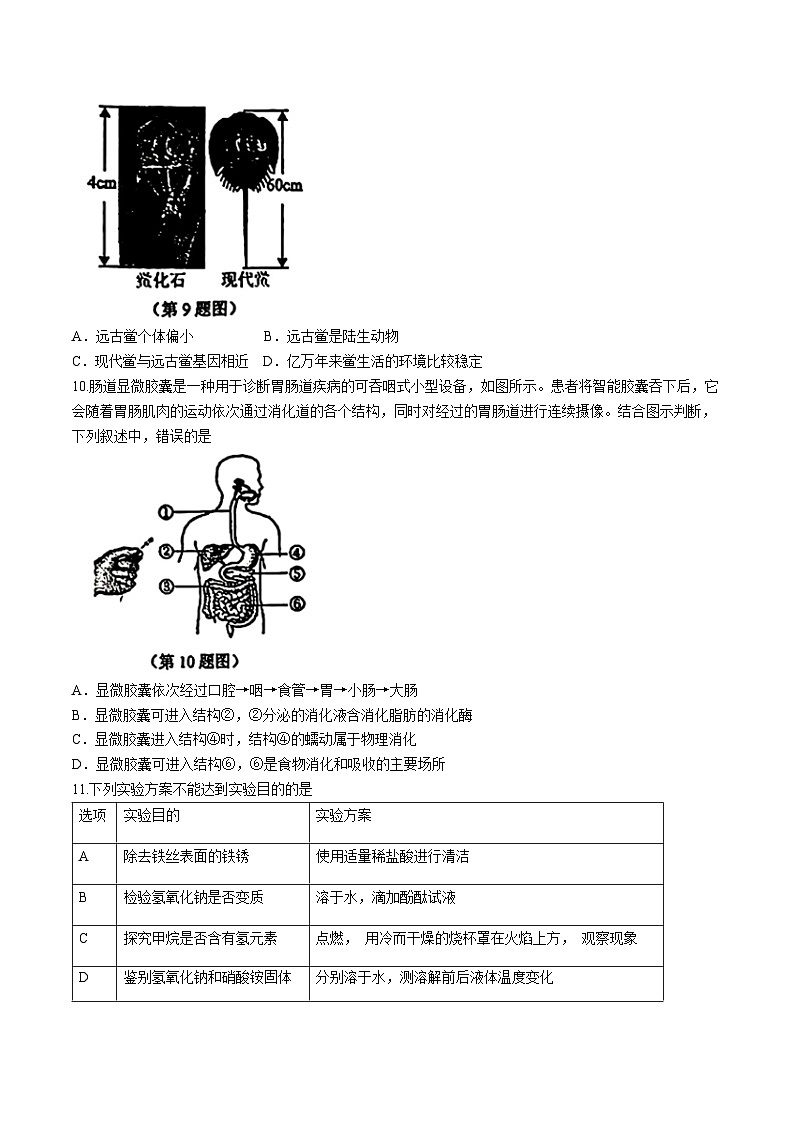 2024年浙江省宁波市北仑区中考一模科学试题第3页
