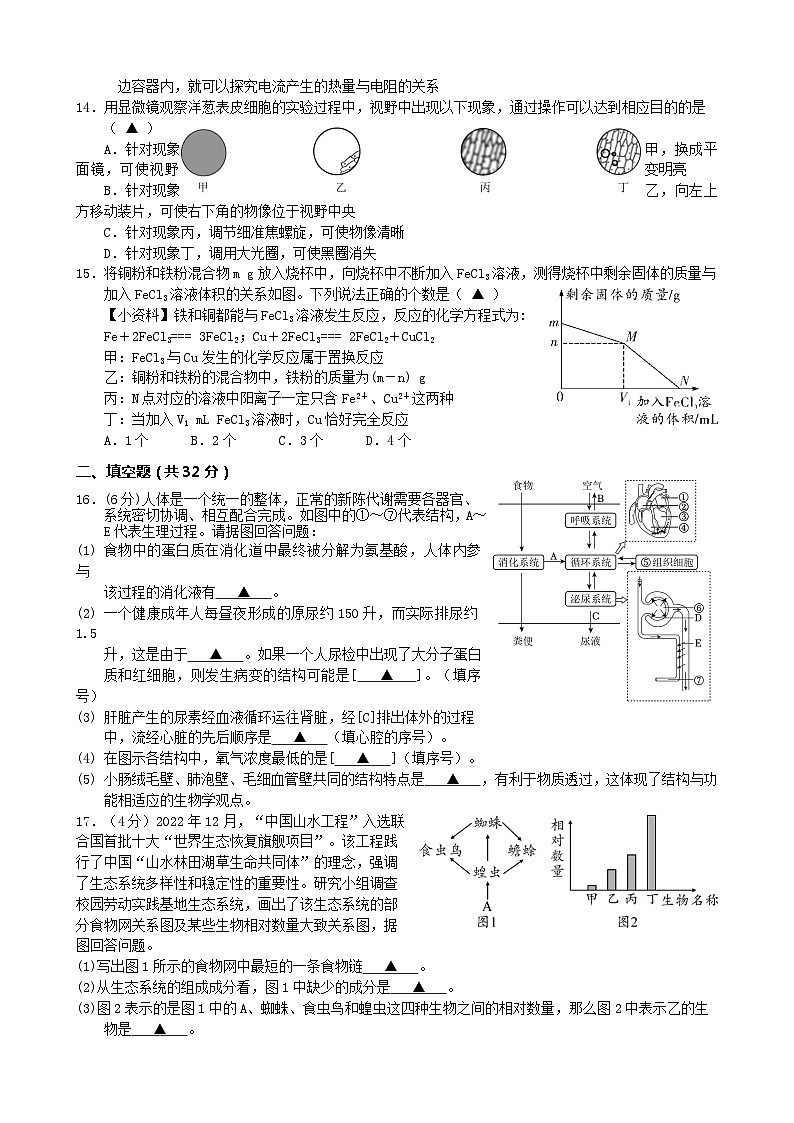 浙江省杭州市滨江区滨和中学2023-2024学年下学期中考模拟九年级科学试卷03