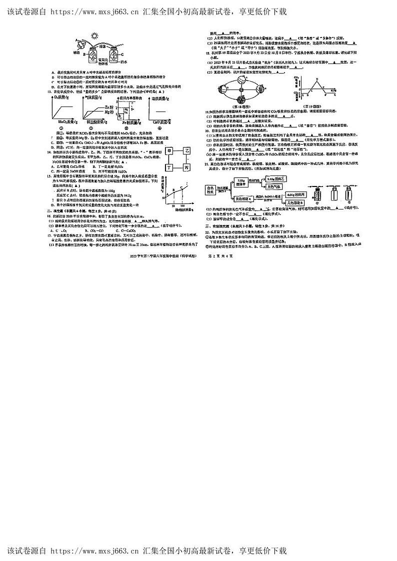 浙江省宁波市江北区青藤书院2023-2024学年八年级下学期期中考试科学试卷02