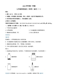 82，浙江省杭州市养正学校2023-2024学年九年级上学期10月月考科学试题