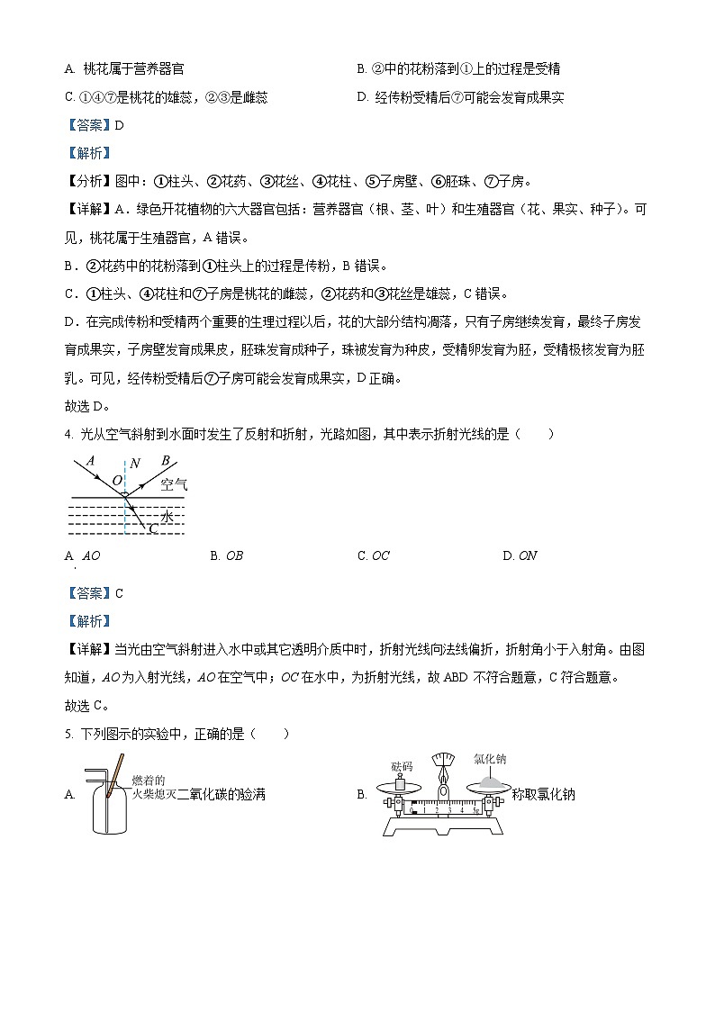 2024年浙江省杭州师范大学附属中学中考一模科学试题（原卷版+解析版）02