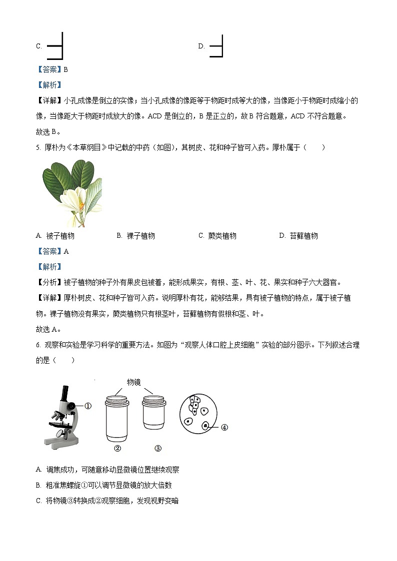 2024年浙江省宁波市慈溪育才中学中考一模科学试题（原卷版+解析版）03