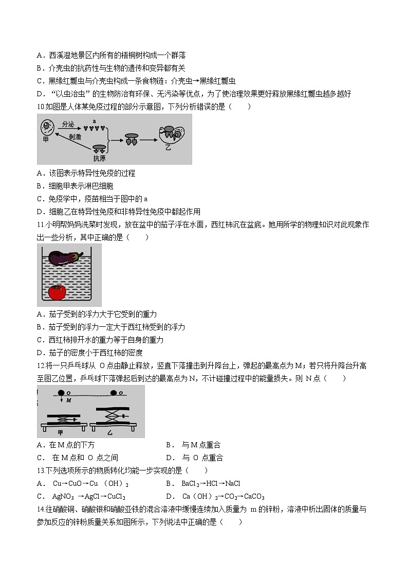 浙江省杭州市文澜中学2024年中考模拟科学试卷+03