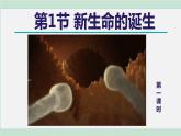 浙教版七年级科学下册课件 1.1 新生命的诞生 第1课时