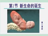 浙教版七年级科学下册课件 1.1 新生命的诞生 第2课时