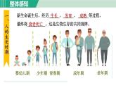 浙教版七年級科學(xué)下冊課件 1.2 走向成熟 第1課時