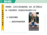 浙教版七年級科學(xué)下冊課件 1.2 走向成熟 第2課時