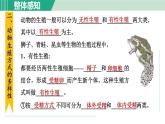 浙教版七年级科学下册课件 1.3 动物的生长时期 第2课时