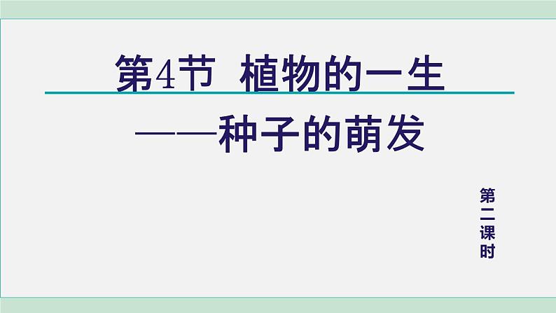 浙教版七年级科学下册课件 1.4 植物的一生 第2课时第1页