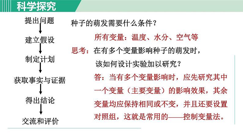 浙教版七年级科学下册课件 1.4 植物的一生 第2课时第3页