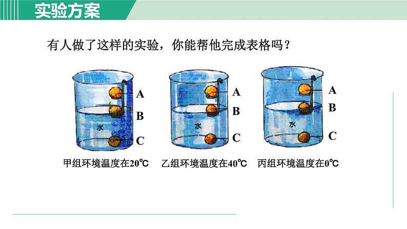 浙教版七年级科学下册课件 1.4 植物的一生 第2课时第4页