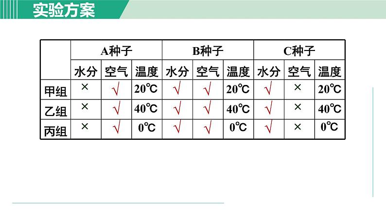 浙教版七年级科学下册课件 1.4 植物的一生 第2课时第5页