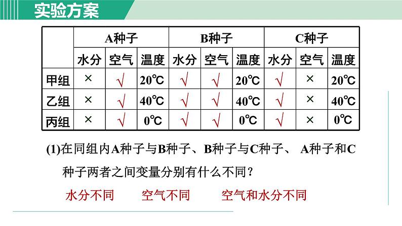 浙教版七年级科学下册课件 1.4 植物的一生 第2课时第6页