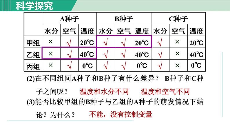 浙教版七年级科学下册课件 1.4 植物的一生 第2课时第7页