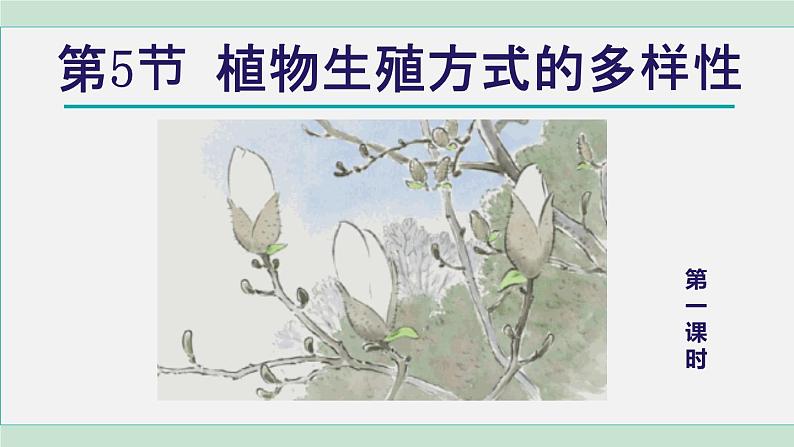 浙教版七年级科学下册课件 1.5 植物生殖方式的多样性 第1课时01