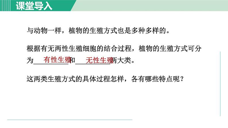 浙教版七年级科学下册课件 1.5 植物生殖方式的多样性 第1课时02