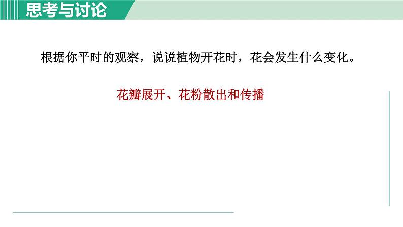 浙教版七年级科学下册课件 1.5 植物生殖方式的多样性 第1课时04