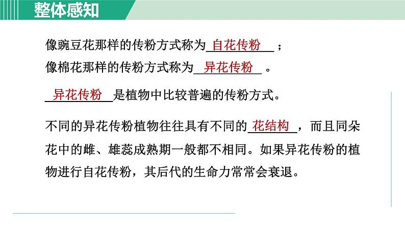 浙教版七年级科学下册课件 1.5 植物生殖方式的多样性 第1课时06