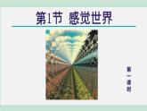 浙教版七年级科学下册课件 2.1 感觉世界 第1课时