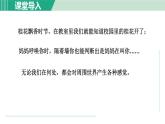 浙教版七年级科学下册课件 2.1 感觉世界 第1课时