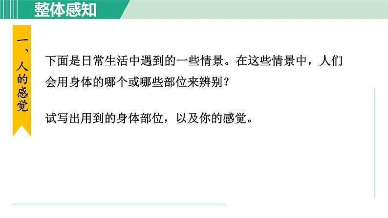 浙教版七年级科学下册课件 2.1 感觉世界 第1课时03
