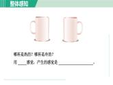 浙教版七年级科学下册课件 2.1 感觉世界 第1课时