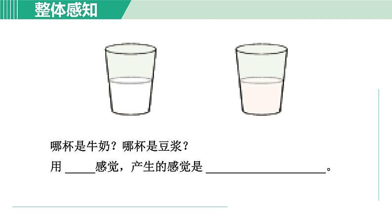 浙教版七年级科学下册课件 2.1 感觉世界 第1课时06