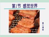 浙教版七年级科学下册课件 2.1 感觉世界 第2课时
