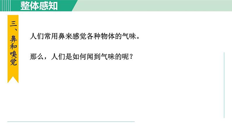 浙教版七年级科学下册课件 2.1 感觉世界 第2课时第2页