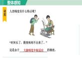 浙教版七年级科学下册课件 2.1 感觉世界 第2课时